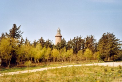 lighthouse Lodbjerg in dune wood